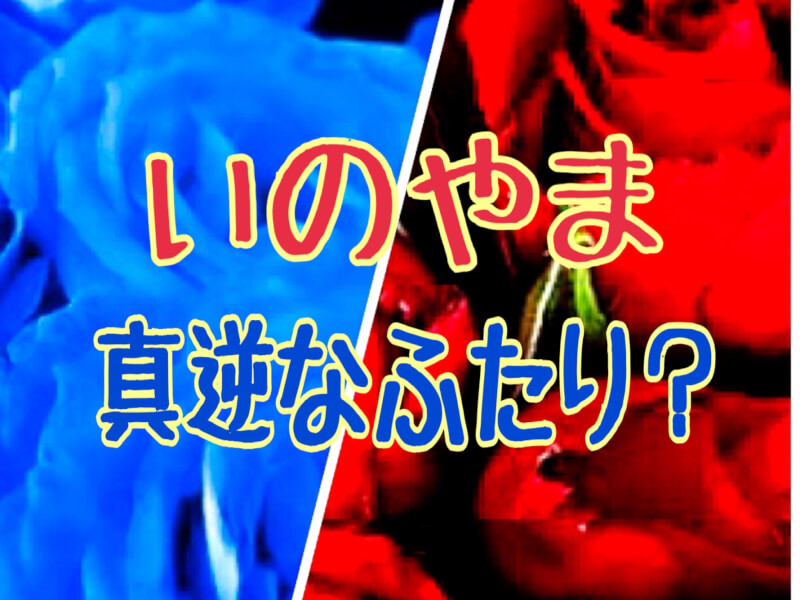 いのやまは本当に不仲なのか 山田涼介と伊野尾慧 真逆なふたり ひるねこの居眠り